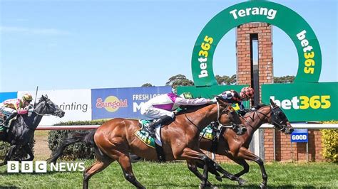 bet365 scandal|Online gambling firm Bet365 probed in Australia.